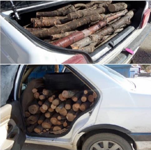 کشف ۱۳۲۰کیلو گرم  چوب بلوط قاچاق در فلاورجان