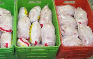 احتکار گوشت و مرغ در فروشگاه مواد غذایی فلاورجان