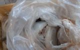 کشف و معدوم سازی ۱۸ کیلو گرم فیله کوسه ماهی در شهرستان فلاورجان