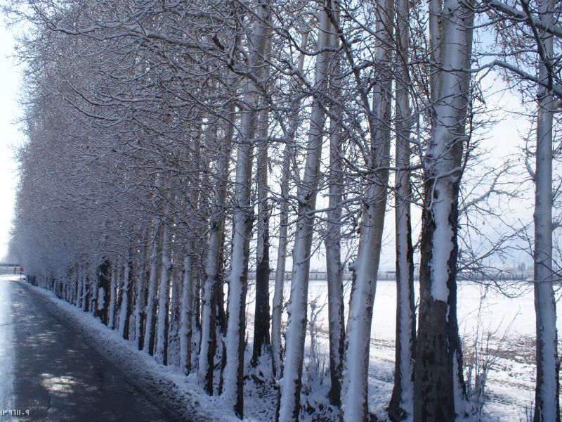 مناظر زیبا از فصل زمستان در جاده روستایی+تصاویر