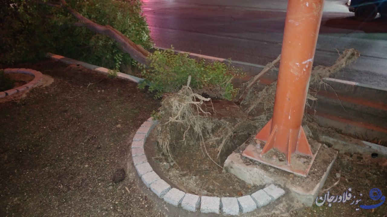 شکستن درخت در فلاورجان / این حادثه خسارتی نداشت