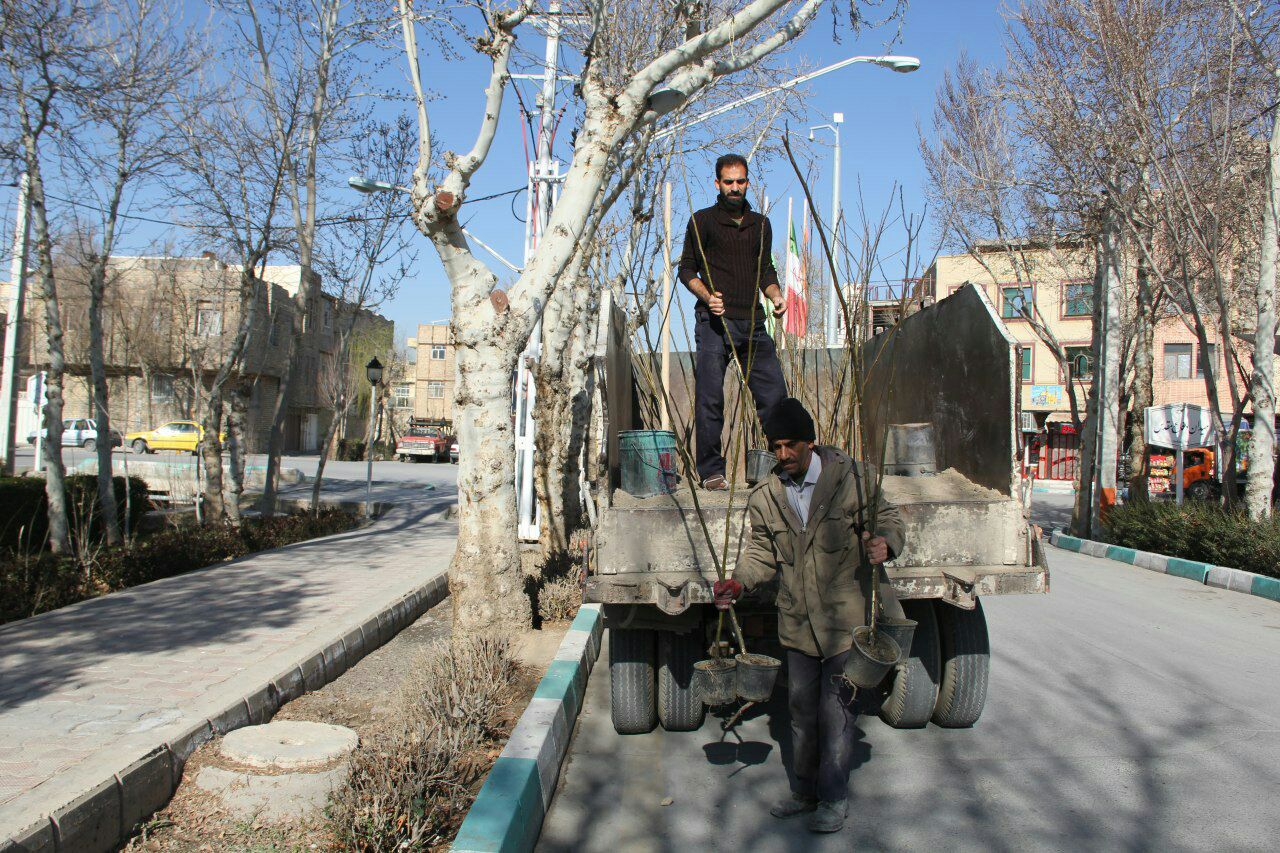 گزارش تصویری/ کاشت نهال در شهر فلاورجان  به بهانه روز درختکاری