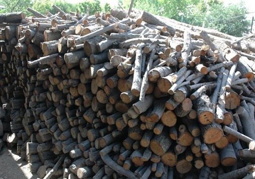 کشف دپوی بیش از ۲ تُن چوب بلوط قاچاق در شهرستان فلاورجان