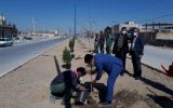 کاشت نهال به مناسبت روز درختکاری در  شهر  ایمانشهر