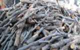 کشف کارگاهی با ۳۰ تن چوب بلوط قاچاق در فلاورجان