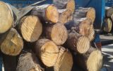 کشف ۶ تن چوب بلوط قاچاق در فلاورجان