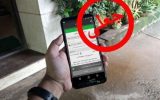 کلاهبرداری بارسید جعلی؛ اعتراف متهم به سرقت ۸ میلیارد ریالی
