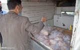 توزیع ۹ تن گوشت به مناسبت عید قربان میان نیازمندان شهرستان نائین