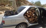۳۲ تُن چوب و زغال بلوط قاچاق در فلاورجان توقیف شد