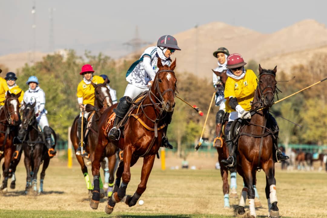 بسپار شیمی سپیدان اصفهان سوم شد؛ گلایه از ابهامات داوری چوگان