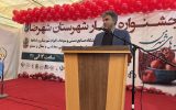 جشنواره انار؛ پیوند مهارت تولیدکنندگان با چشم‌انداز گردشگری شهرضا