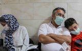 دلاوری: ۱۲/۵ درصد تست های آنفلوانزای کاشان در آبان مثبت بود