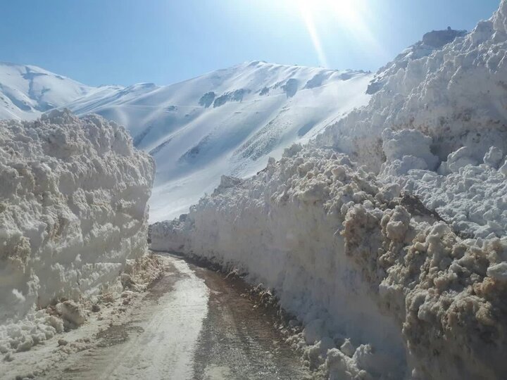 بارش برف فریدن را سفیدپوش کرد؛ راهها باز و دستگاهها پای کارند