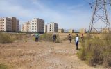 آغاز فاز جدید مقابله با سالک در کاشان؛ ۱۲ کانون فعال بیماری وجود دارد