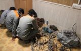 ۳ سارق سابقه‌دار سیم و کابل برق در نایین دستگیر شدند