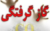۴ نفر در روستای ویدوجای کاشان دچار گازگرفتگی شدند