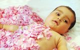 برگزاری آئین گل غلطان در کاشان