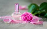 رونمایی از ۴ محصول اسانس گل محمدی در پژوهشکده اسانس های طبیعی قمصر