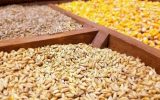 قیمت‌گذاری کالاها مبنای قبلی را ندارد؛تامین مستمر نهاده‌های دام و طیور