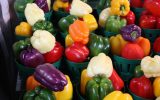 اصفهان با ۱۰ هزار کدQR محصولات گلخانه‌ای را برای صادرات شناسه‌دار کرد