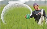 اصفهان ۸۴ درصد کود یارانه‌ای کشاورزان را با وجود جنگ تأمین کرد