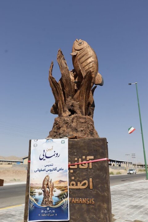 تندیس ماهی آفانیوس نماد زیستی اصفهان در شهر حسنآباد نصب شد