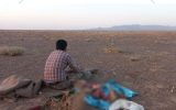 دستگیری ۳۱ شکارچی غیرمجاز در کاشان