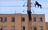 نجات جان جوان ۲۱ ساله خمینی‌شهری با مشاوره پلیس