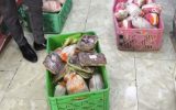 ۲۰۰ کیلوگرم مرغ تاریخ مصرف گذشته در کاشان معدوم شد