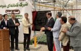 ۲۲۰۰ پروژه کشاورزی با سرمایه‌گذاری ۳۰ همت در کشور افتتاح شد