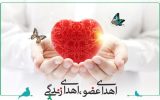 سومین اهدای عضو سال جاری در کاشان