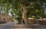 ۱۲ اثر طبیعی ثبت ملی اصفهان صاحب شناسنامه معرفی شدند ۱۲ اثر طبیعی ثبت ملی اصفهان صاحب شناسنامه معرفی شدند