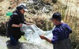 فرشتهای در آخرین سنگر زایندهرود فرشتهای در آخرین سنگر زایندهرود