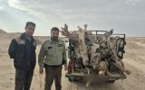 کشف ۲ تُن چوب تاغ در کوهپایه اصفهان طی ۲۴ ساعت اخیر؛ ۸ نفر دستگیر شدند