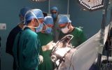 خارج‌سازی توده ۲.۵ کیلوگرمی از شکم و لگن بانوی ۴۲ ساله در کاشان