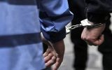 دستگیری ۷ متهم و کشف اموال مسروقه؛۵۰۰ بسته سیگار قاچاق در نطنز کشف شد